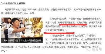 文安何小姐最新爆料,揭秘娱乐圈惊人内幕  第1张